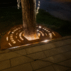 Maskownica Podest Dekoracja drzew ogrodu Stal Corten